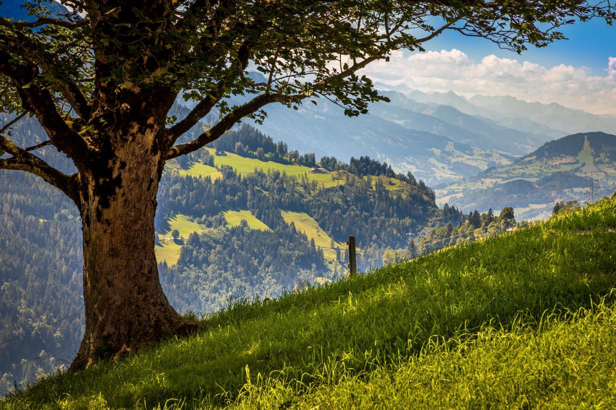 Haus Lindbichl Villa Sankt Johann im Pongau Bilik gambar